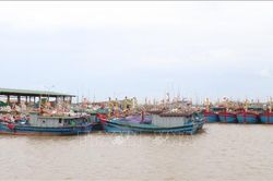 Ứng phó bão số 1: Nam Định cấm các hoạt động vui chơi trên biển từ 12 giờ ngày 17/7