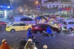 Bảo vệ ô tô thế nào khi bão Talim sắp đổ bộ?