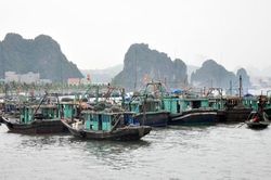 Các địa phương chủ động ứng phó với bão số 1, bão TALIM