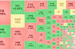 Đổi trụ thành công, VN-Index tăng phiên thứ 7 liên tiếp, vốn ngoại mua ròng ấn tượng