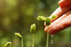 HTX nông nghiệp tại TP.HCM hướng đến phát triển nông nghiệp tuần hoàn