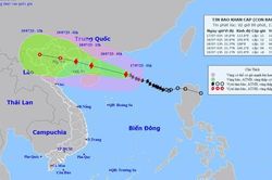 Hà Nội khẩn trương ứng phó bão Talim