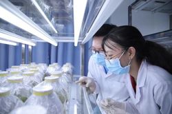 Cải cách thủ tục hành chính