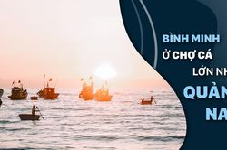 Bình minh ở chợ cá lớn nhất Quảng Nam