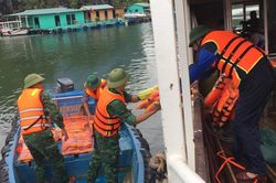 BĐBP Hải Phòng: Kiểm tra công tác ứng phó sau khi bão số 1 vào đất liền