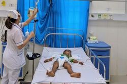 Ninh Thuận: Ăn hạt cây dầu mè, 3 trẻ em bị ngộ độc