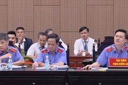Vụ chuyến bay giải cứu: Chị gái một bị cáo bị đề nghị điều tra sau khi nộp bằng chứng cho tòa