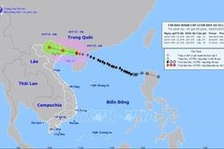 Sức gió vùng gần tâm bão số 1 giật cấp 12, biển động rất mạnh