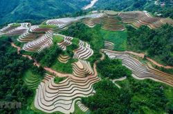 Hà Giang: Những khoanh ruộng bậc thang ăm ắp mùa nước đổ