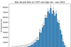 Thí sinh ở Nam Định đạt điểm 10 duy nhất môn Ngữ văn