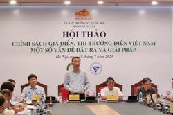 Họp bàn giải pháp cho chính sách giá điện, thị trường điện Việt Nam