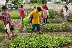 Sôi nổi hoạt động hè bổ ích cho thanh thiếu nhi
