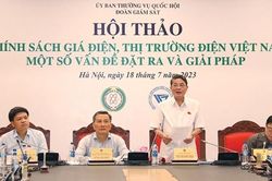 Phó Chủ tịch Quốc hội Nguyễn Đức Hải dự Hội thảo về chính sách giá điện, thị trường điện Việt Nam