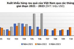 Nửa đầu năm 2023, bán rau quả sang Trung Quốc thu 1,76 tỷ USD