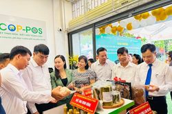 Ba Vì: Khai trương điểm trưng bày sản phẩm nông sản, OCOP