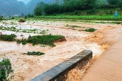 Ngày 19/7, nhiều khu vực mưa lớn, đề phòng ngập úng, lũ quét, sạt lở