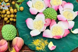 Chè sen long nhãn - Tinh túy của đất trời