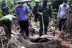 Tiếp cận hiện trường phát hiện xác voi ở Hương Sơn