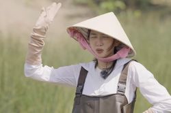 Hoa hậu Thùy Tiên ra mắt series 'Nong Dân' thú vị hậu 'Đu Đêm'