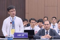 Vụ 'Chuyến bay giải cứu': Luật sư xin giảm nhẹ hình phạt cho các bị cáo