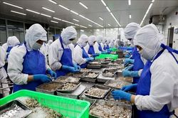 Lãi vay của Gói 15.000 tỷ đồng cho lâm, thủy sản thấp hơn thị trường từ 1 – 2%