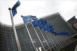 Tổng thống Pháp hoài nghi về việc EU thuê chuyên gia kinh tế người Mỹ