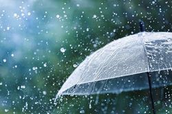 Du lịch gặp ngày mưa gió, ứng phó thế nào?