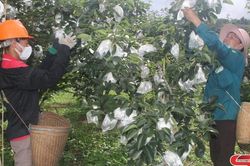 Yên Châu xây dựng nhiều mô hình 'Dân vận khéo'