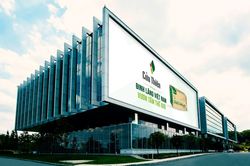 Trà Đinh Lăng Cửu Thiên tự hào thương hiệu Việt Nam - Sản phẩm được người dân trong nước tin dùng và vươn tầm quốc tế