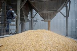 Ba Lan khẳng định không mở cửa cho ngũ cốc Ukraine