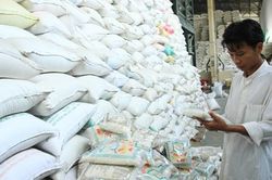 Xuất khẩu gạo trên đà tăng tốc