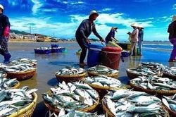 15.000 tỷ đồng tín dụng cho lĩnh vực lâm sản, thuỷsản