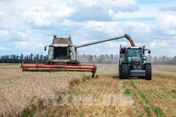 EU dự định tăng nhập khẩu ngũ cốc của Ukraine bằng đường bộ