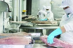 Tin vui cho ngành lâm sản, thủy sản