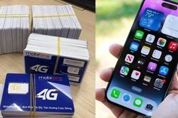 TP Hồ Chí Minh ngừng cung cấp dịch vụ hơn 1.700 sim thuê bao di động vi phạm