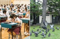 Singapore: Học sinh thi tốt nghiệp THCS than phiền khi bài thi đánh đố thí sinh