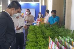 Động lực hợp tác liên vùng