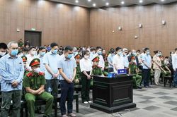 54 bị cáo 'chuyến bay giải cứu' nói lời sau cùng: Lời hối lỗi muộn màng