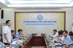 Sửa Luật Thủ đô: Khai thác, phát huy giá trị hai bên bờ sông Hồng