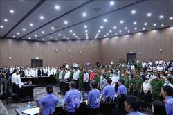 Vụ 'Chuyến bay giải cứu': Đủ cơ sở xác định hành vi phạm tội của Hoàng Văn Hưng