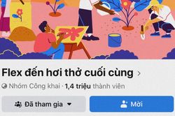 Tạm dừng hoạt động nhóm 'Flex đến hơi thở cuối cùng', lý do là gì?