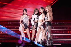 Chỉ một dòng thông báo, Blackpink khiến dân tình xôn xao trước thềm về Việt Nam