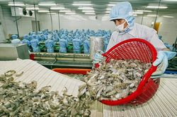 Vương quốc Anh sẽ công nhận Việt Nam là nền kinh tế thị trường trong điều tra phòng vệ thương mại