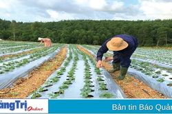 Phát huy tinh thần đoàn kết, đổi mới, sáng tạo, đẩy mạnh phong trào sản xuất, kinh doanh
