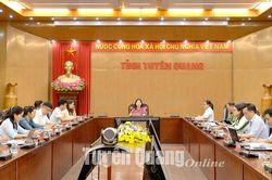 Hội thảo trực tuyến toàn quốc tham vấn ý kiến xây dựng chương trình mục tiêu quốc gia về văn hóa