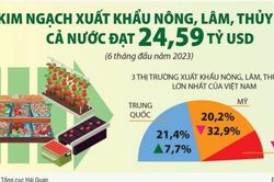 Tuân thủ an toàn thực phẩm là 'chìa khóa' mở cửa thị trường xuất khẩu