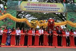 Thành quả từ canh tác, sản xuất nông sản an toàn