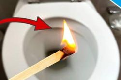 Thả que diêm xuống bồn cầu có tác dụng gì?