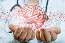 8 nhóm thực phẩm ăn thường xuyên sẽ không lo mất trí nhớ, đầu óc luôn minh mẫn kể cả khi về già