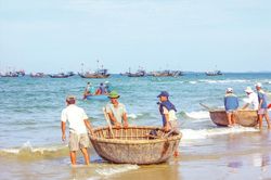 Bình Thuận nhân rộng mô hình quản lý bảo vệ nguồn lợi thủy sản ven bờ